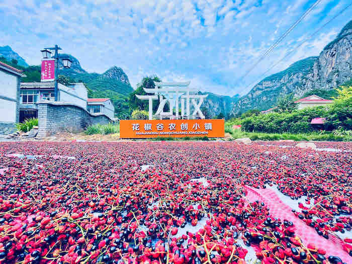 大红袍花椒6.jpg