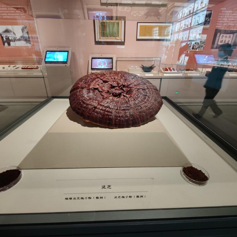 中医药文化展33.jpg