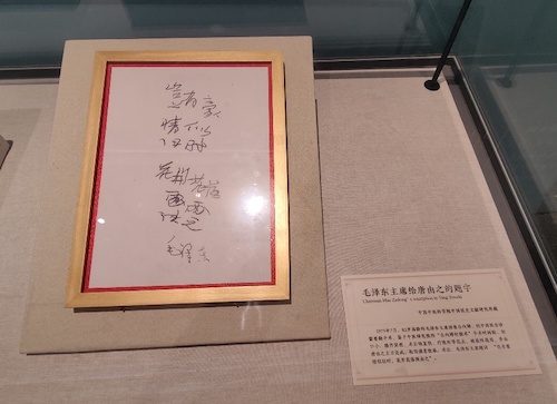 中医药文化展5.jpg
