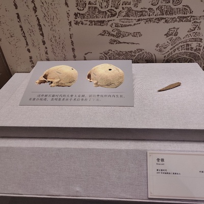 中医药文化展16.jpg