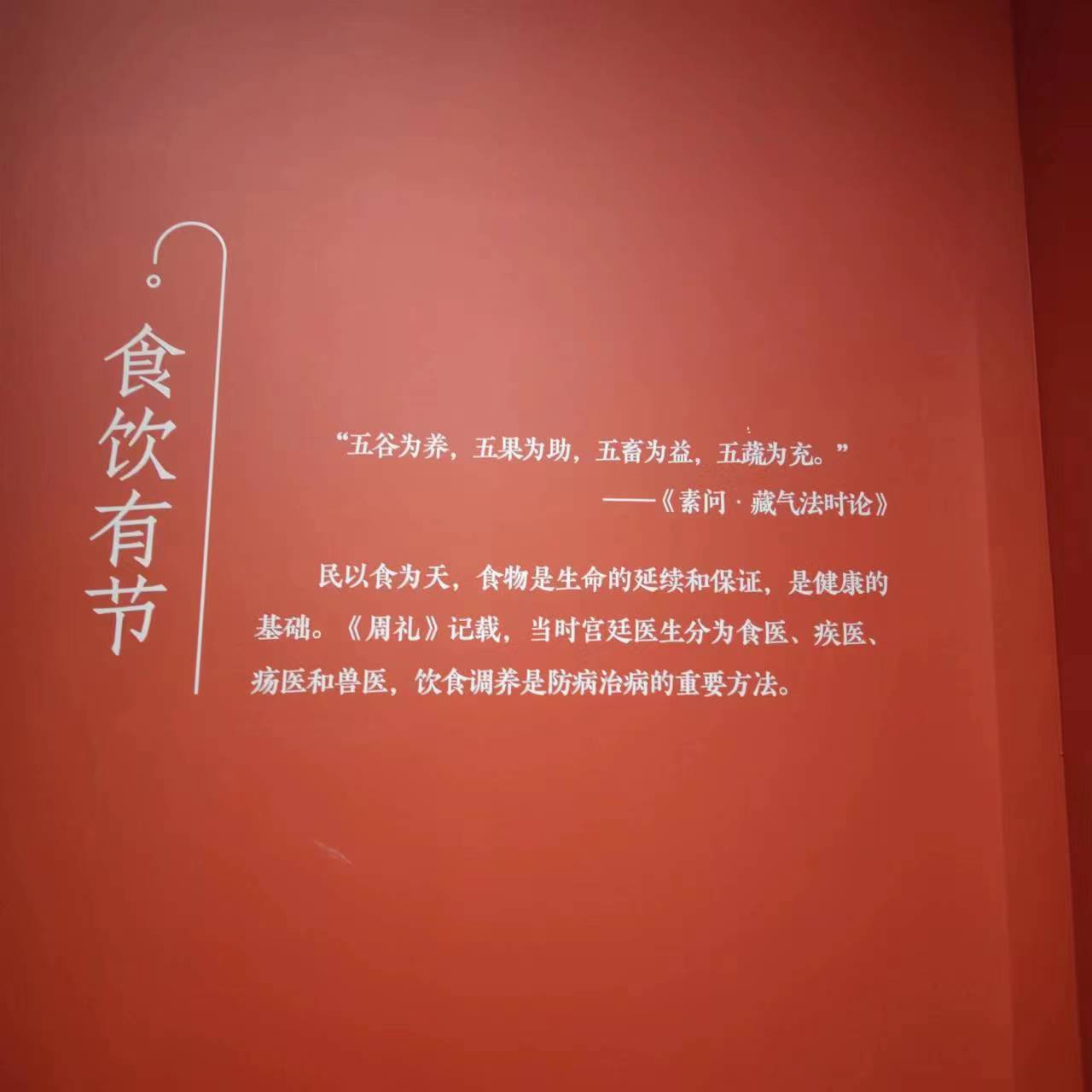 中医药文化展12.jpg
