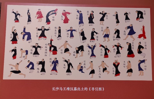中医药文化展17.jpg