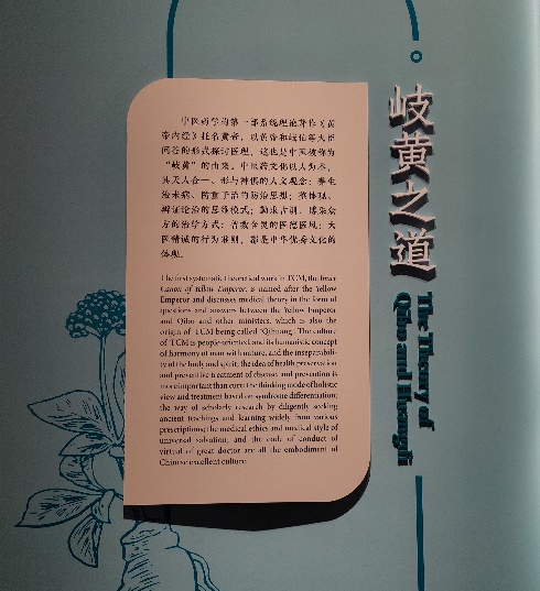 中医药文化展3.jpg