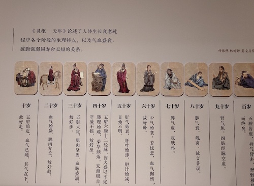 中医药文化展9.jpg