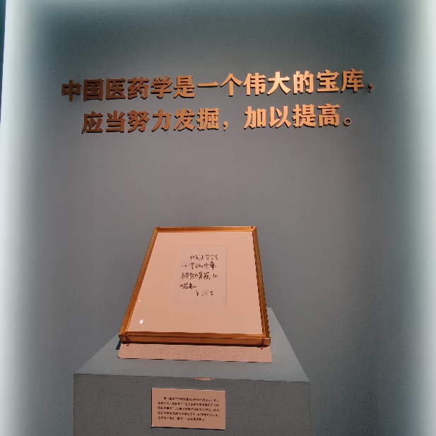 中医药文化展4.jpg