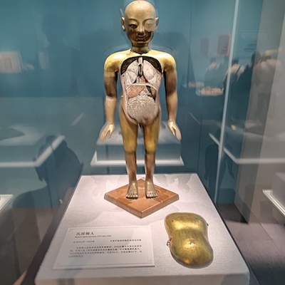 中医药文化展27.jpg