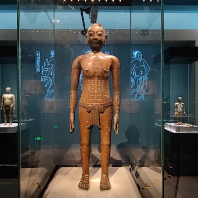 中医药文化展26.jpg