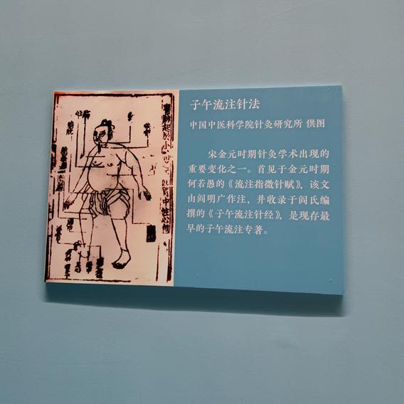 中医药文化展28.jpg