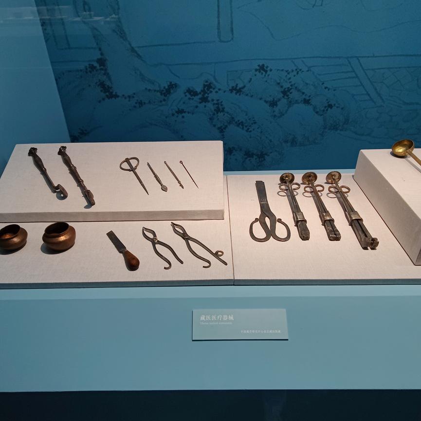 中医药文化展29.jpg